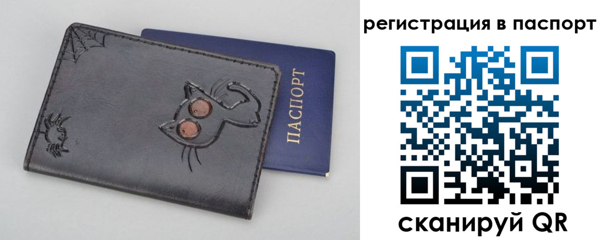 прописка законно в Сальске